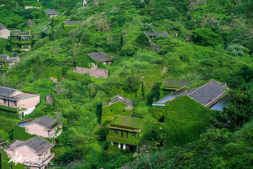 后头湾村第 17 张图片
