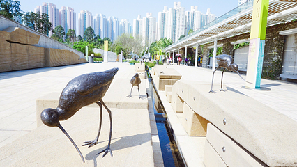 香港湿地公园第 10 张图片