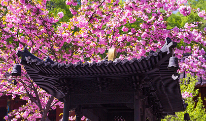 琅琊寺第 17 张图片