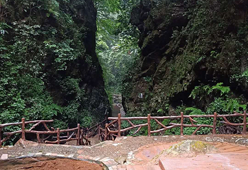 大桂山国家森林公园第 30 张图片
