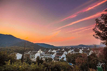 树山生态村第 39 张图片