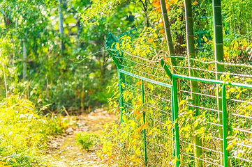 树山生态村第 30 张图片