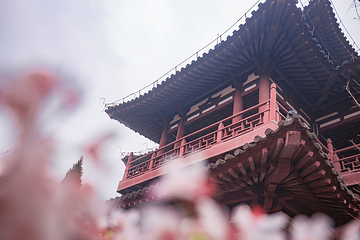 青龙寺第 18 张图片