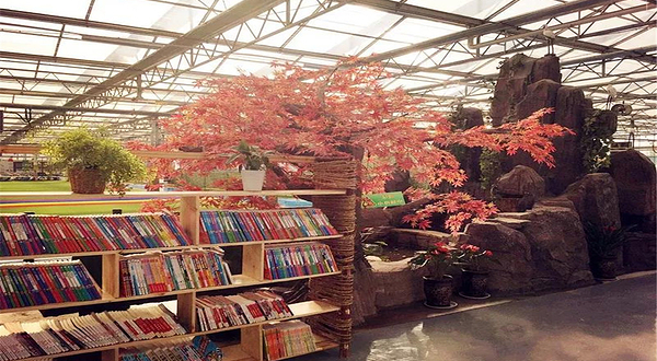 新乡四季亲子乐园