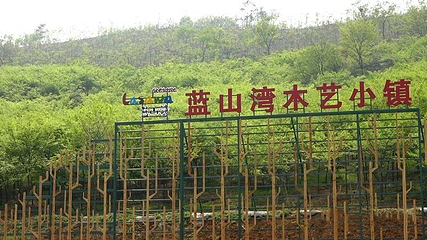 蓝山湾木艺生态小镇第 9 张图片