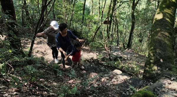 贵州茂兰国家级自然保护区-黑洞