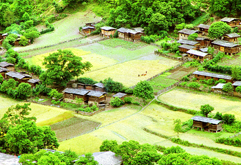 怒江大峡谷第 36 张图片