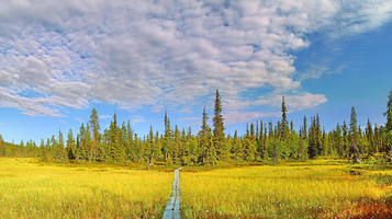 萨利色尔卡金矿