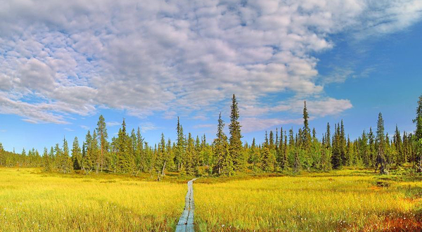 萨利色尔卡金矿