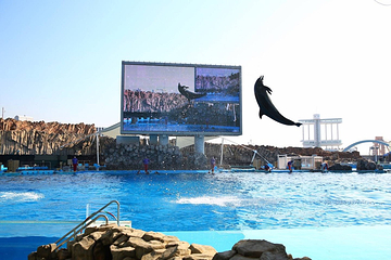 名古屋港水族馆第 9 张图片