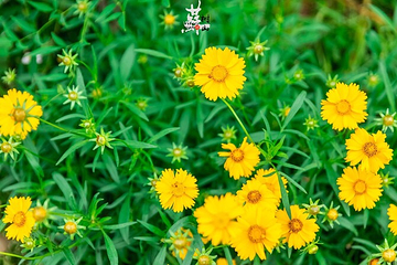 树山生态村第 40 张图片