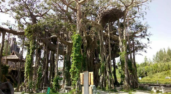 吉木萨尔地质公园