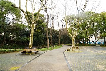 中山公园第 20 张图片