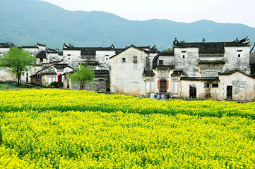 婺源风景区第 107 张图片
