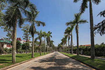 厦门大学(思明校区)第 4 张图片