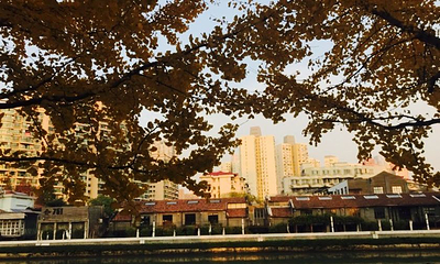 普陀公园第 1 张图片