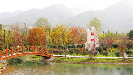 秦岭国家植物园第 21 张图片
