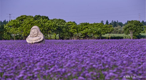 紫海鹭缘浪漫爱情主题公园
