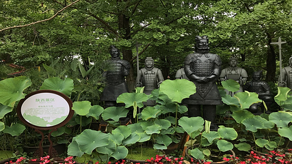 大观公园第 31 张图片