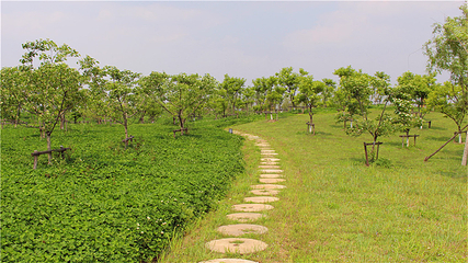 嬉乐湾休闲旅游区第 45 张图片