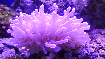 郑州海洋馆第 59 张图片