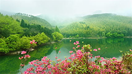 黄柏山国家森林公园第 19 张图片