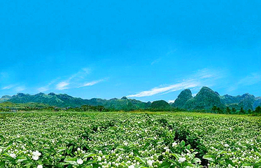 桂林荔浦荔江湾第 20 张图片