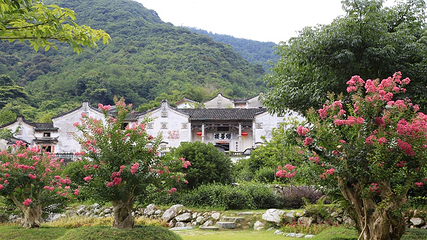 雁南飞茶田景区-桥溪古韵第 21 张图片