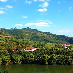 雁南飞茶田景区