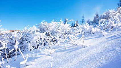 翠云山银河滑雪场第 8 张图片