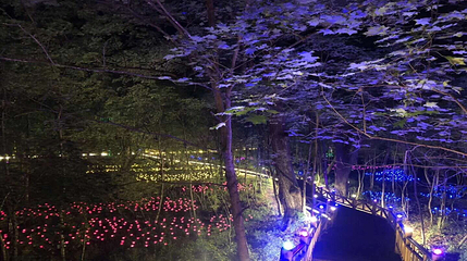长白山森林峡谷漂流第 7 张图片