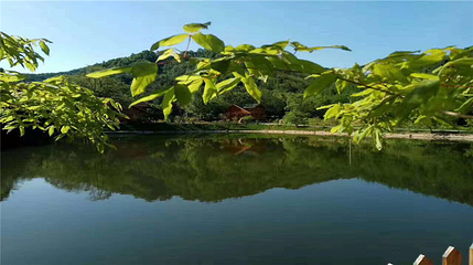 参仙谷生态旅游度假区第 6 张图片