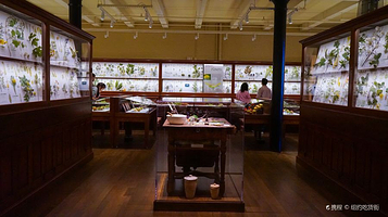 哈佛自然历史博物馆