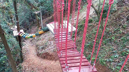 印山国家森林康养基地第 20 张图片