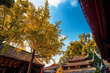 文殊院第 12 张图片