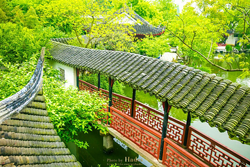 珍珠塔景园第 13 张图片