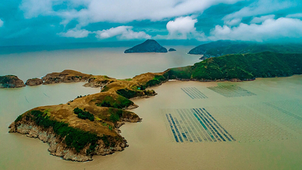大嵛山岛第 35 张图片