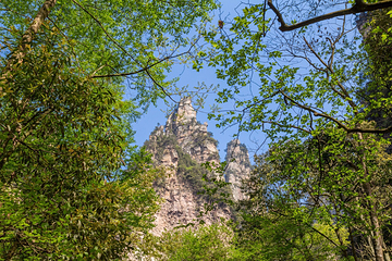 金鞭溪峡谷第 6 张图片
