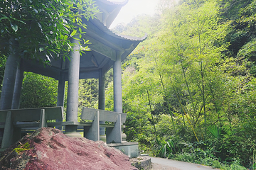 大峡谷景区第 11 张图片