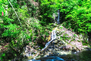 醉山野景区第 54 张图片