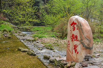 金鞭溪峡谷第 27 张图片