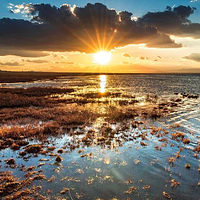 巴里坤湖风景区
