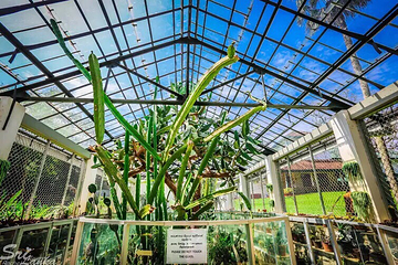 康提皇家植物园第 5 张图片