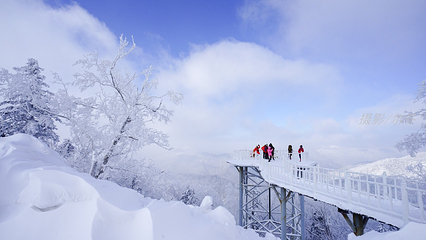 亚雪驿站十里画廊第 14 张图片