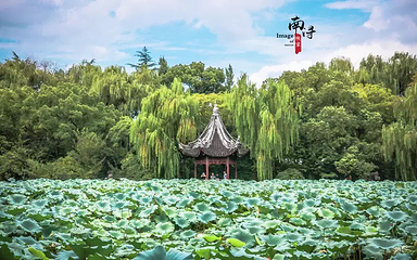小莲庄第 11 张图片