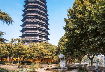 红梅公园第 16 张图片