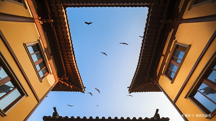 温州市景山森林公园-护国寺第 1 张图片