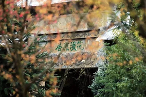 明月山花海原居