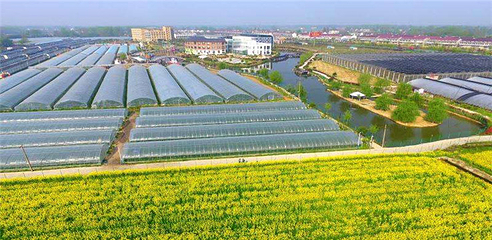 鹏翔梦乐帝巧克力玫瑰小镇第 10 张图片