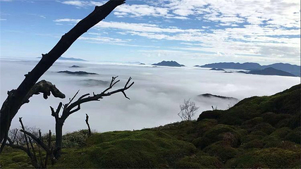 云冰山旅游景区第 9 张图片
